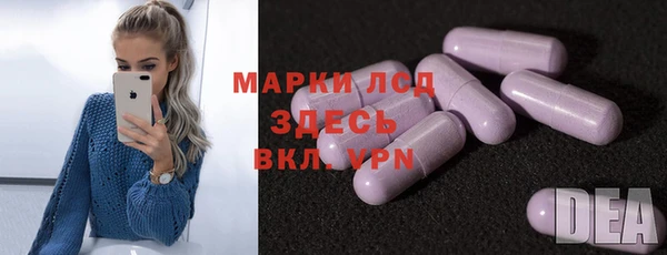 ECSTASY Богданович